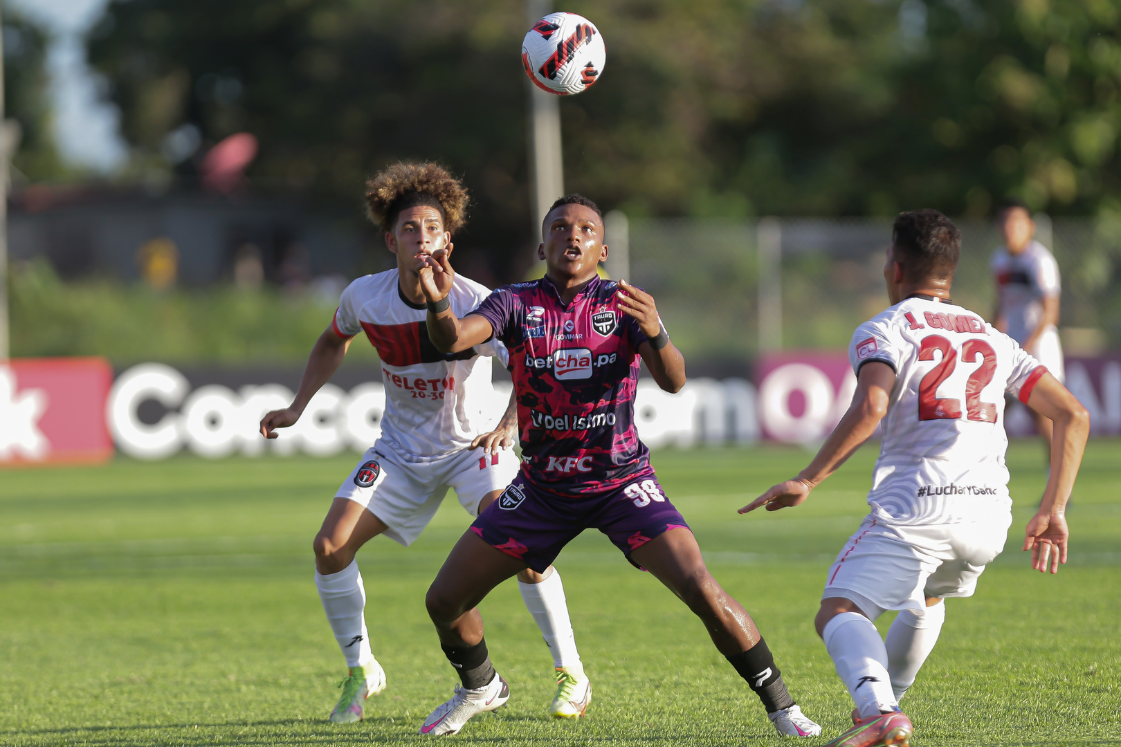 Image with no description